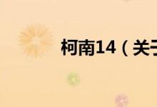 柯南14（關(guān)于柯南14的介紹）