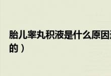 胎兒睪丸積液是什么原因造成的（睪丸積液是什么原因造成的）
