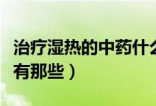 治療濕熱的中藥什么時候吃（治療濕熱的中藥有那些）