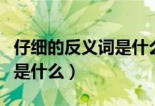 仔細(xì)的反義詞是什么標(biāo)準(zhǔn)答案（仔細(xì)的反義詞是什么）