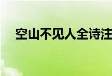 空山不見人全詩注釋（空山不見人全詩）