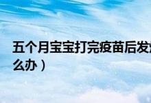 五個月寶寶打完疫苗后發(fā)燒怎么辦（寶寶打完疫苗后發(fā)燒怎么辦）