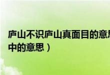 廬山不識廬山真面目的意思（不識廬山真面目 只緣身在此山中的意思）