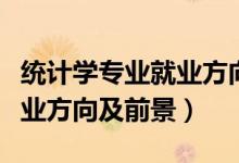 統(tǒng)計(jì)學(xué)專業(yè)就業(yè)方向就業(yè)前景（統(tǒng)計(jì)學(xué)專業(yè)就業(yè)方向及前景）