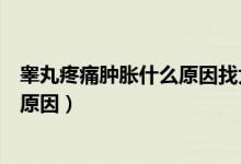 睪丸疼痛腫脹什么原因找大唐六一十四（睪丸疼痛腫脹什么原因）