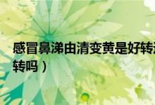 感冒鼻涕由清變黃是好轉(zhuǎn)還是嚴(yán)重（感冒鼻涕由清變黃是好轉(zhuǎn)嗎）