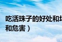 吃活珠子的好處和壞處視頻（吃活珠子的好處和危害）