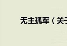 無(wú)主孤軍（關(guān)于無(wú)主孤軍的介紹）