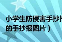 小學生防侵害手抄報圖片大全(我是小學生了的手抄報圖片)