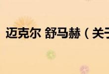 邁克爾 舒馬赫（關(guān)于邁克爾 舒馬赫的介紹）