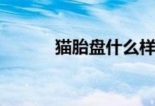 貓?zhí)ケP什么樣（貓?zhí)ケP的功效）
