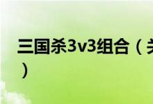三國(guó)殺3v3組合（關(guān)于三國(guó)殺3v3組合的介紹）