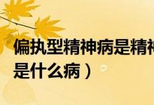 偏執(zhí)型精神病是精神分裂癥嗎（偏執(zhí)型精神病是什么?。?class=
