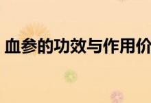 血參的功效與作用價格（血參的功效與作用）