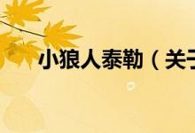 小狼人泰勒（關(guān)于小狼人泰勒的介紹）