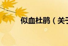 似血杜鵑（關(guān)于似血杜鵑的介紹）