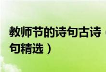 教師節(jié)的詩句古詩（教師節(jié)適合祝福老師的詩句精選）