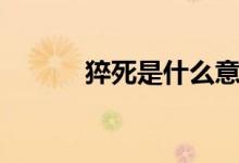 猝死是什么意思（猝死的含義）