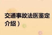交通事故法醫(yī)鑒定（關(guān)于交通事故法醫(yī)鑒定的介紹）