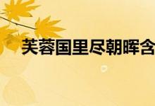 芙蓉國里盡朝暉含義（芙蓉國里盡朝暉）
