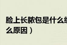 臉上長膿包是什么細(xì)菌感染（臉上長膿包是什么原因）