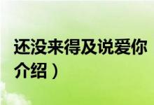 還沒來得及說愛你（關(guān)于還沒來得及說愛你的介紹）