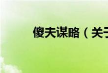 傻夫謀略（關(guān)于傻夫謀略的介紹）