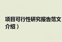 項(xiàng)目可行性研究報(bào)告范文（關(guān)于項(xiàng)目可行性研究報(bào)告范文的介紹）