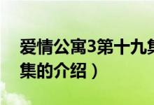 愛情公寓3第十九集（關(guān)于愛情公寓3第十九集的介紹）