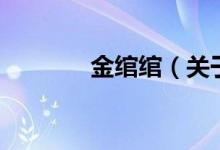 金綰綰（關(guān)于金綰綰的介紹）