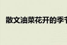 散文油菜花開的季節(jié)（大家可以了解一下）