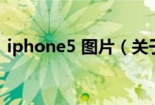 iphone5 圖片（關(guān)于iphone5 圖片的介紹）