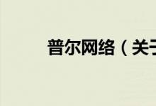 普爾網(wǎng)絡(luò)（關(guān)于普爾網(wǎng)絡(luò)的介紹）