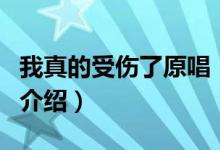 我真的受傷了原唱（關(guān)于我真的受傷了原唱的介紹）
