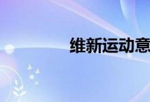 維新運動意義（維新運動）