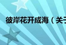 彼岸花開(kāi)成海（關(guān)于彼岸花開(kāi)成海的介紹）