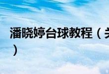 潘曉婷臺(tái)球教程（關(guān)于潘曉婷臺(tái)球教程的介紹）