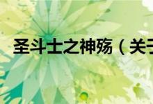 圣斗士之神殤（關(guān)于圣斗士之神殤的介紹）
