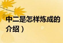 中二是怎樣煉成的（關(guān)于中二是怎樣煉成的的介紹）