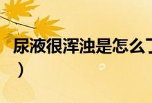 尿液很渾濁是怎么了（尿液很渾濁是怎么回事）