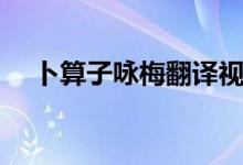 卜算子詠梅翻譯視頻（卜算子詠梅翻譯）