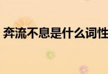 奔流不息是什么詞性（奔流不息是什么意思）