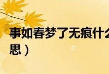 事如春夢(mèng)了無痕什么意思（春夢(mèng)了無痕什么意思）