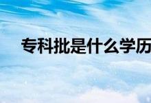?？婆鞘裁磳W(xué)歷（專科批是什么意思）