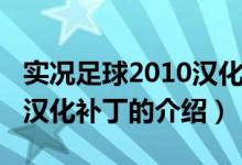 實(shí)況足球2010漢化補(bǔ)?。P(guān)于實(shí)況足球2010漢化補(bǔ)丁的介紹）