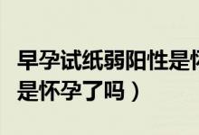 早孕試紙弱陽(yáng)性是懷孕了嗎（早孕試紙弱陽(yáng)性是懷孕了嗎）