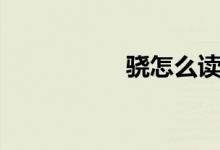 驍怎么讀（驍怎么讀）