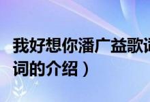 我好想你潘廣益歌詞（關(guān)于我好想你潘廣益歌詞的介紹）