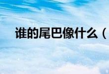 誰(shuí)的尾巴像什么（誰(shuí)的尾巴像什么仿寫(xiě)）
