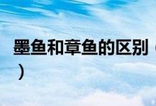 墨魚和章魚的區(qū)別（墨魚和章魚的區(qū)別有哪些）